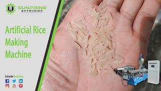 Artificial Rice Making Machine Fortified Rice Machine Nutritional Rice Machine