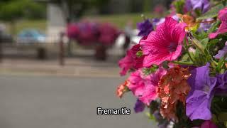 Caerphilly| Wales | Passing cars | Beautiful flowers | Fremantle stock footage | E18R60 018