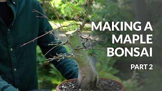 Making a Maple Bonsai