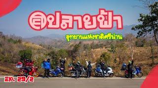 EP. 29/2 @ปลายฟ้า อุทยานแห่งชาติศรีน่าน