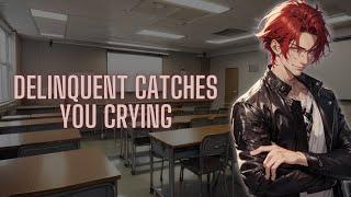 [M4A] [ASMR] Delinquent Catches You Crying [ Bully x Listener] [Small Fight] [Wholesome]