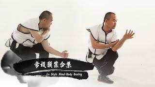 【独家/非遗文化】中国武术卢氏心意拳——常设预案 Lu Style Mind-Body Boxing (Advanced-level)