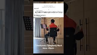 차이코프스키 교향곡 4번 인트로 호른ㅣTchaikovsky Symphony No.4 Intro Horn