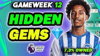 GAMEWEEK 12 BEST DIFFERENTIALS!| Fantasy Premier League 2024/25