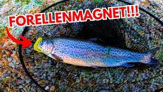  Forellenangeln im Winter – Heftige Forellen-Action mit dem FTM Lifter Lure trotz Eis auf dem See!