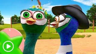 The Peacock and the Peahen Are Getting Married | Zenon´s Farm The Series  | Zenon The Farmer