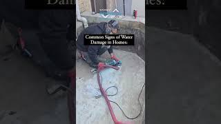 Common Signs of Water Damage in Your Home #waterproofingexperts #roofwaterproofing #waterproof