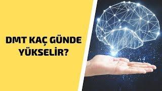 Üzerlik DMT Hormonunu Kaç Günde Yükselir? DMT Hormonu Nasıl Arttırılır?