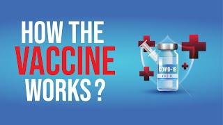 How the vaccine works? (Multimedia Project KPTM Ipoh)