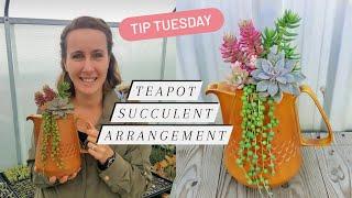 Tip Tuesday: Teapot Succulent Arrangement