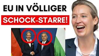 Weidel & Orban lassen Medien-Bombe platzen!