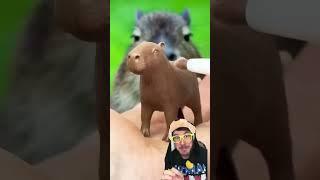 Você gosta de capivara? #italianinho