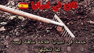 فلاح في اسبانيا / خدمة في اسبانيا فلاحة ليست كما تتخيلها