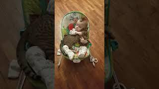 Baby loves his kitten 'best friend'