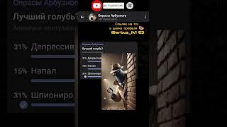 Лучший голубь? #рекомендации #арбузный #голубь