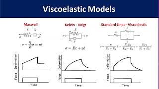 Polymer Viscoelasticity