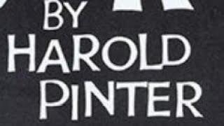 The Caretaker by Harold Pinter  part one #caretaker  #haroldpinter