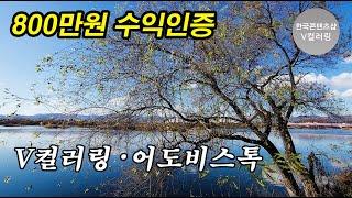 바람에 흔들리는 겨울 강가 나무 촬영! 자면서 쉴때도 돈이 들어오는 부업 V컬러링,어도비스톡 수익창출