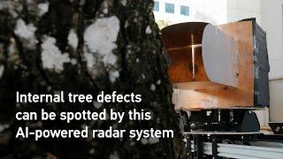 Finding defects in trees in just minutes with the power of #AI