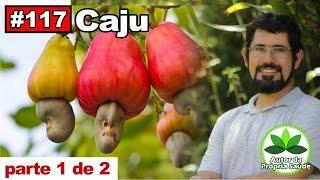 Autor da Própria Saúde - Caju [diabetes, hipertensão, colesterol, gastrite, câncer, cicatrizante]