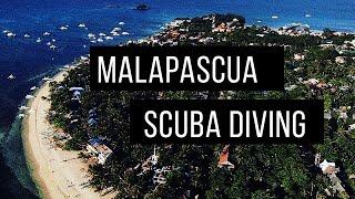 Malapascua Island Diving Trips with Evolution