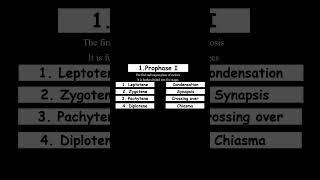 Stages of Prophase I (Meiosis I) Watch on YouTube "Learn Medical Health Sciences Dr. Shaista "