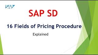 16 Fields of pricing procedure SAP SD || SAP SD Tutorials