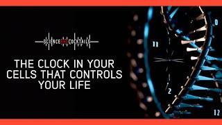 The clock in your cells that controls your life with Joseph Takahashi