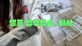 셀프 입주 청소하고 첫 자취방으로 이사하는 브이로그