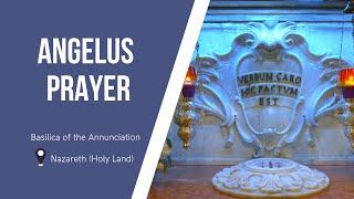 Angelus Prayer at the Basilica of the Annunciation | November 16, 2024