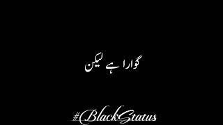 Aap Baithay Hain Black Screen Status Arcade X Status Mashup Status Urdu Lyrics Whatsapp Status 2022