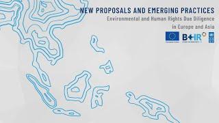 New Proposals and Emerging Practices: A Discussion between Europe and Asia on EHRDD