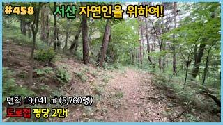 #458 [자연인 쉼터] 19,041 ㎡(5,760평), 서산 예덕리, 평당2만원, 서산IC10여분거리, 성연면, 임야, 도로접, 초피나무, 밤, 산딸기, 두릅, 고비, 재배최적