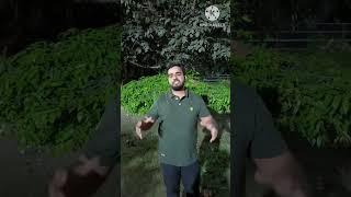 My short 2#study #geography #viral shorts#motivation #icse board