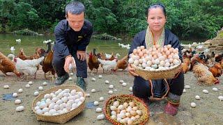 Dwarf Family Harvesting Joy - harvesting Chicken Eggs & bake eggs in bamboo tube - Garden renovation