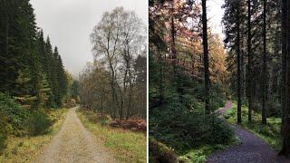 A day outdoors | Loch Achray