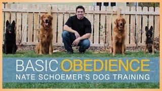 Basic Obedience Dog Training Course - FULL COURSE FREE on YouTube!