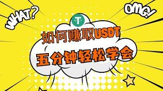 2024网赚 网络赚钱，赚钱 灰产 野路子 偏门 兼职副业 项目，五分钟学会 当天就能赚取收益，适合新手赚钱的新方向（USDT赚钱教学）