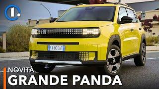 Fiat Grande Panda, la PANDA XL  da 4 metri, ibrida o elettrica