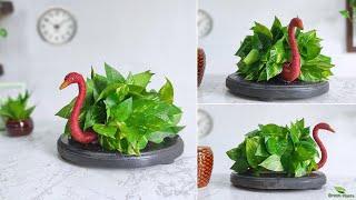 Cute Idea to Grow Money plant For Your Table top | Money Plant Indoor Decoration Ideas//GREEN PLANTS