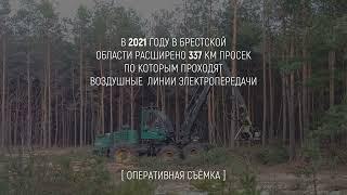 Как расширяют просеки по которым проходят воздушные линии электропередач