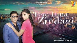 Tere Bina Zindagi | Popular Hindi Cover Song by Ravindra Singh | R Vision