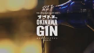 Masahiro Okinawa Japanese Craft Gin Perfect Service