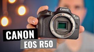 Canon EOS R50 - mein erster Eindruck und Unterschiede zur M50 / R10