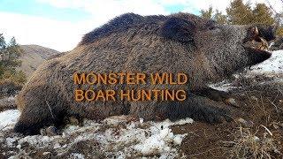 MONSTER WILD BOARS - RECEP ECER FRONTIER HUNTING SAFARIS