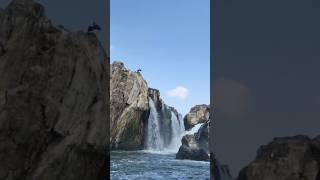 #hogenakkal #waterfall #tamilnadu #shortsvideo #shortsfeed #shortsyoutube #shorts #short #shortvideo