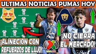 ULTIMA HORA PUMAS NO CIERRA REFUERZOS Y VA POR JURADO DE NECAXA! ALINEACION CON FICHAJES DE LUJO!