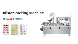 DPP 160R Blister Packing Machine For Packaging Tablets Capsules, Life Time Warranty