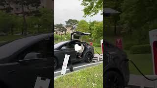 Tesla modelX(with nerdboy) 테슬라 모델X 무료슈차중인 너드보이