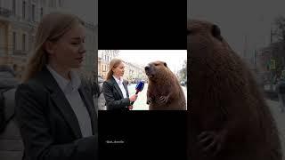 Интервью с бобром! Сидим с Бобром за столом?